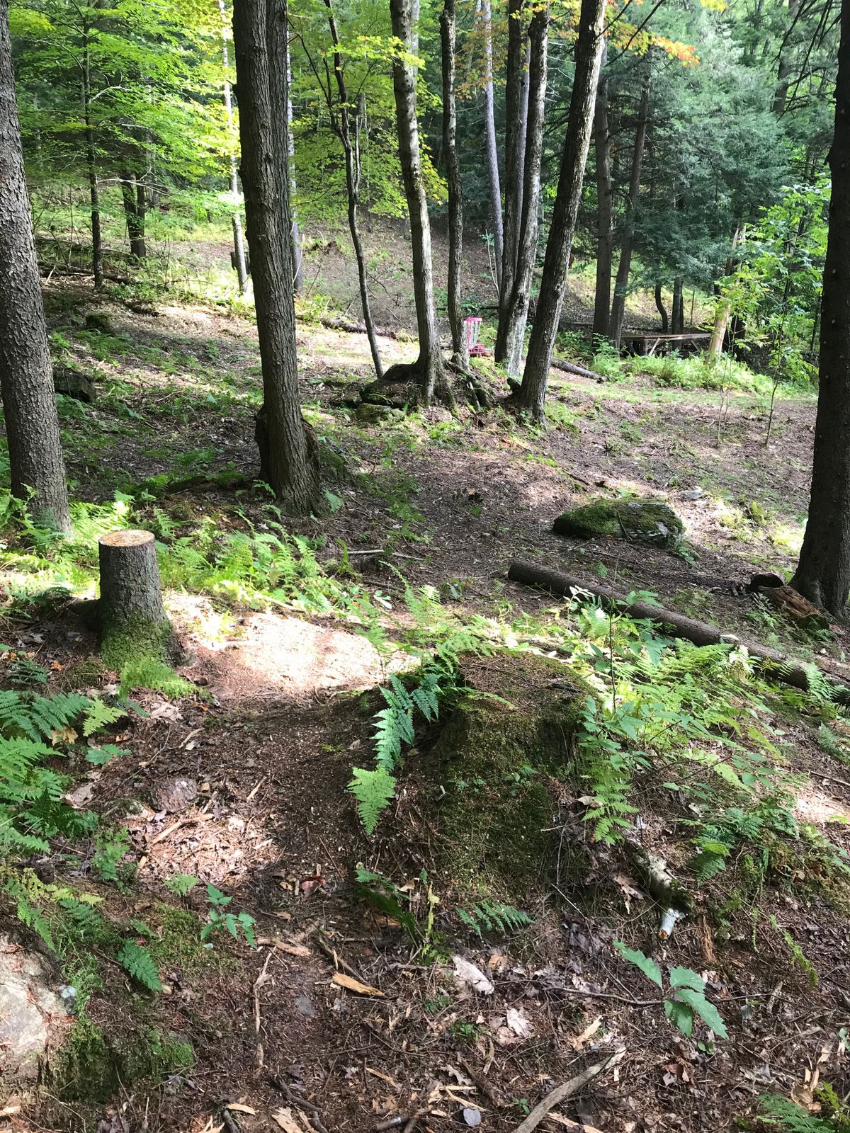 Hole 3’s green.