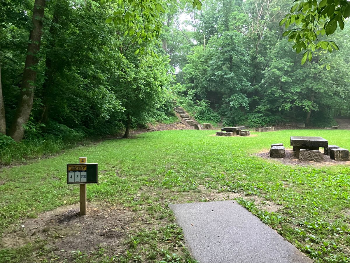 Hole 4 200’ spike hyzer to an elevated fairway.