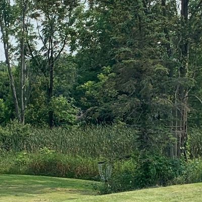 Hole 5