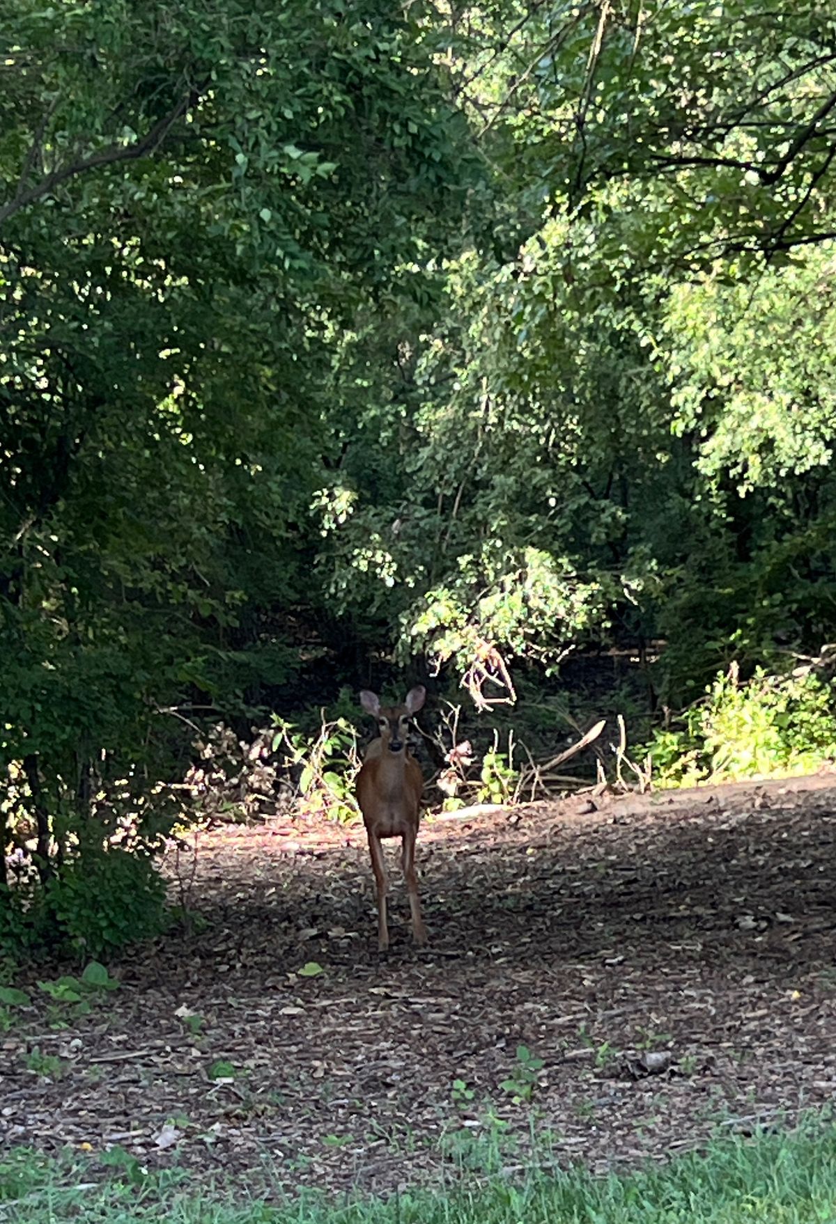 Looking right at me - June 2024