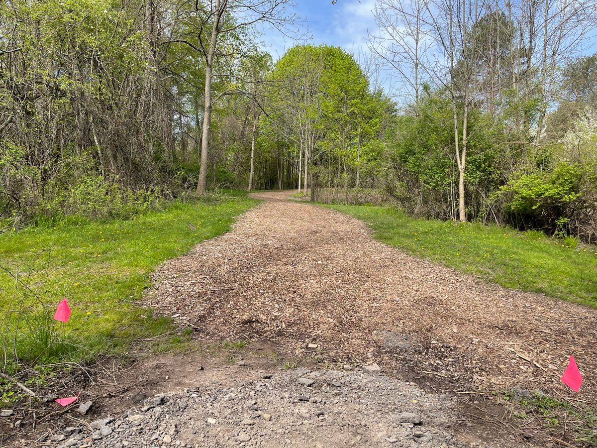 Hole 14 Long Tee