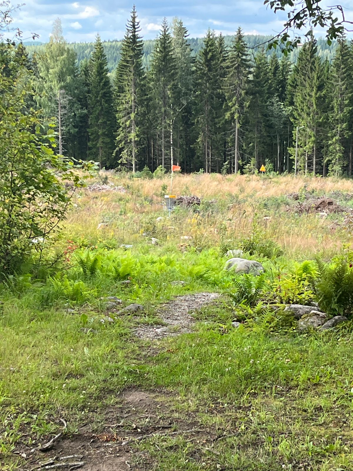 Järkyttävä maasto metsäkoneiden jäljiltä