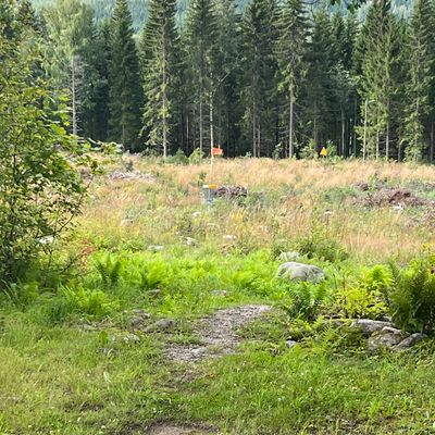 Järkyttävä maasto metsäkoneiden jäljiltä