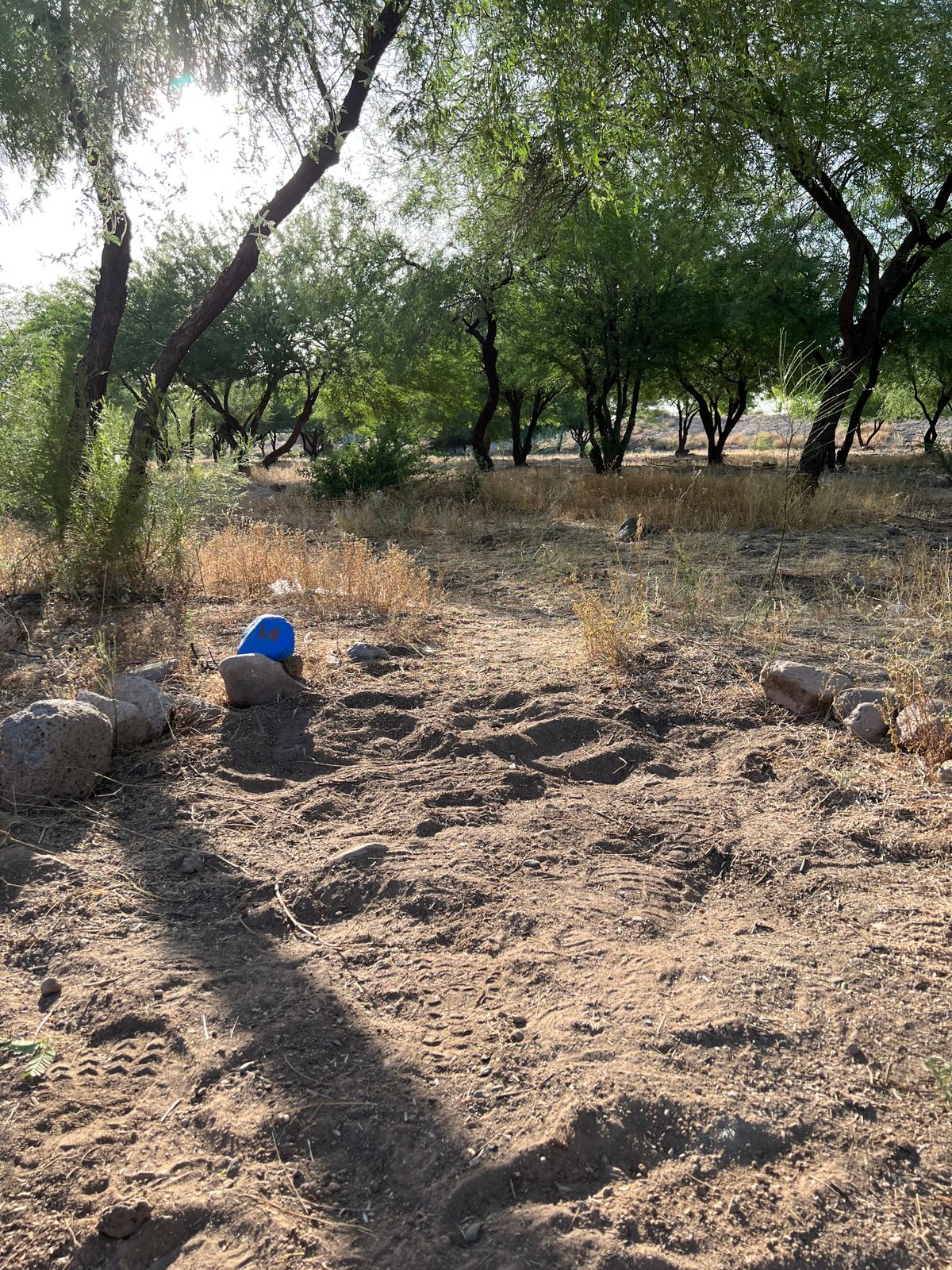 Hole 14