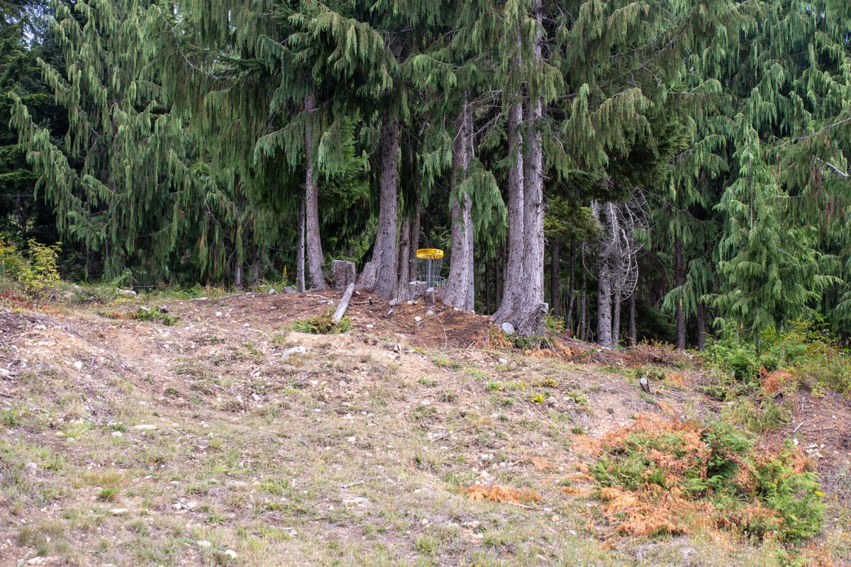 Hole 3