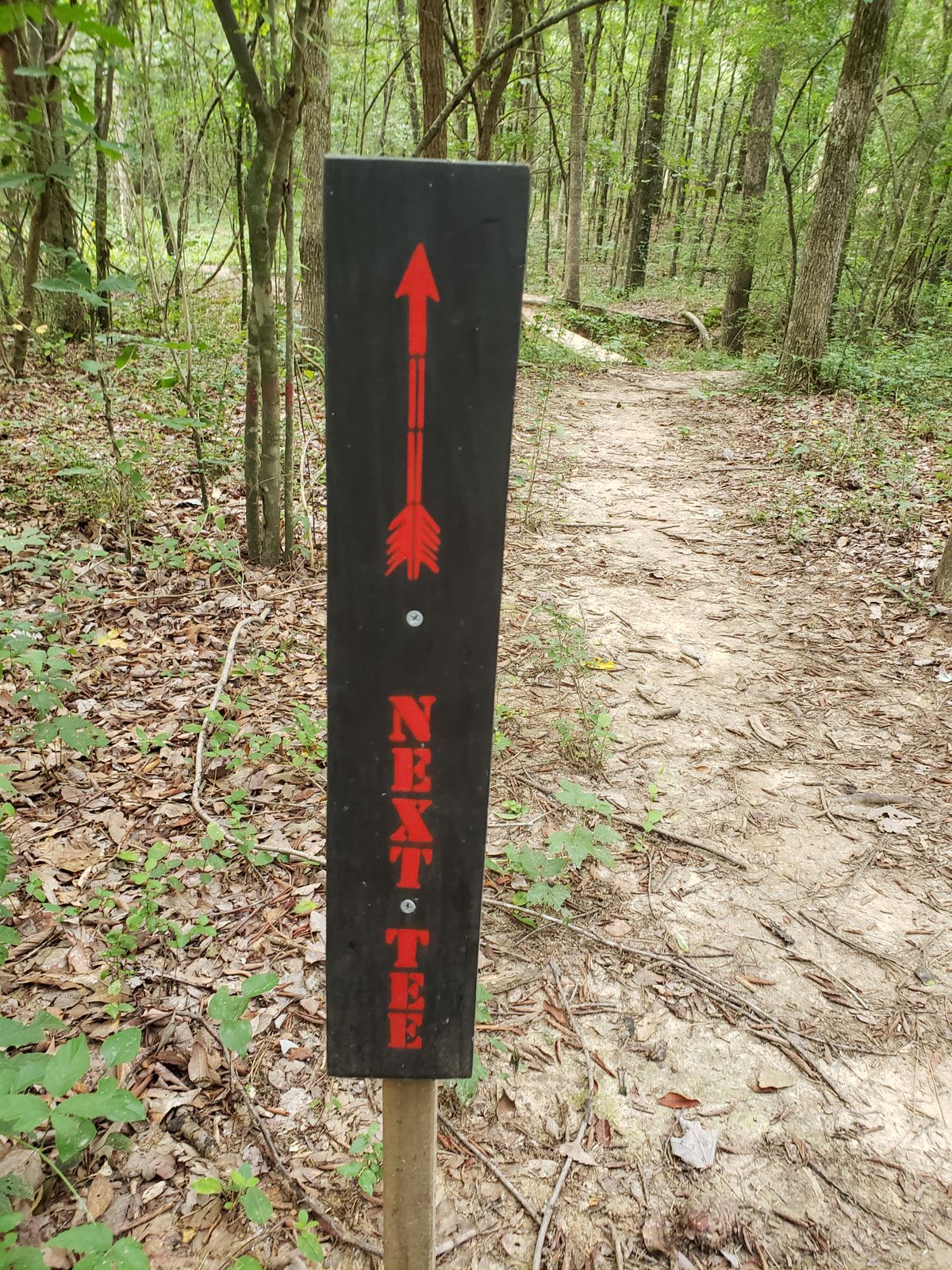 Best navigation course ever, thanks to these signs!