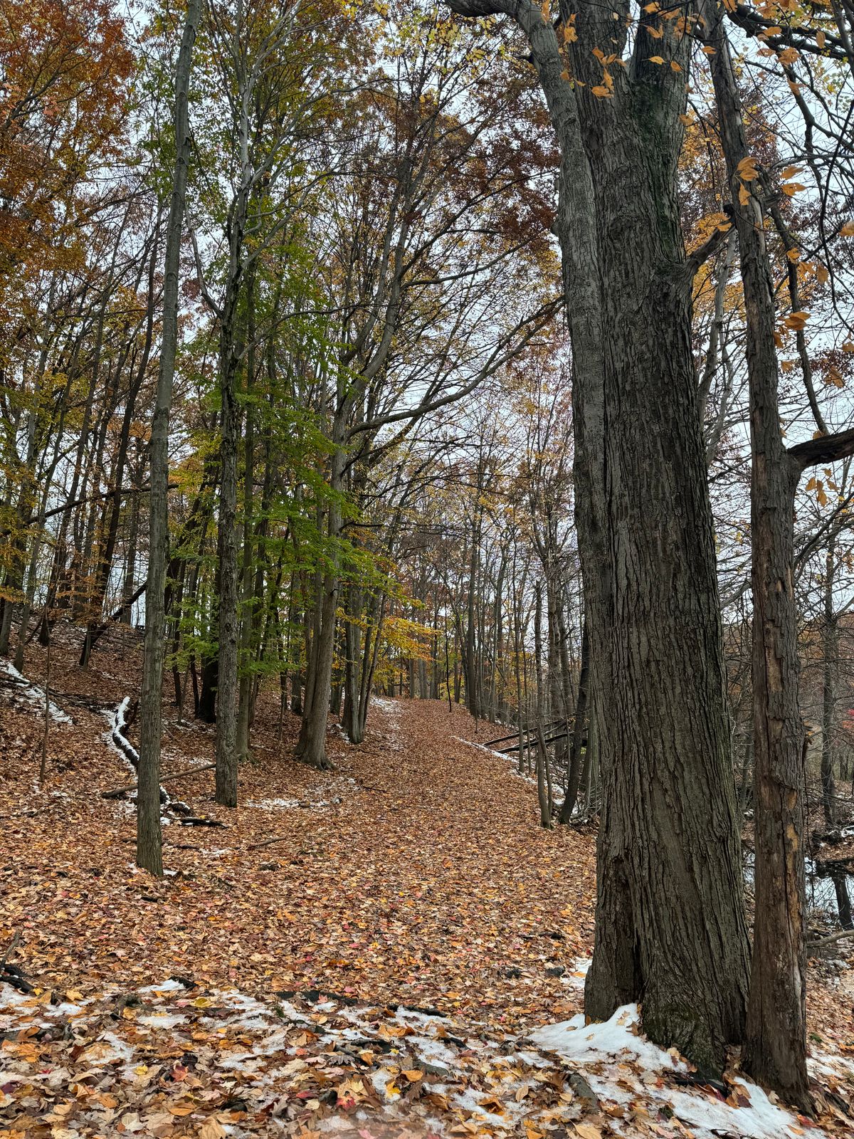 #17.  Long with a narrow fairway and water to the right.