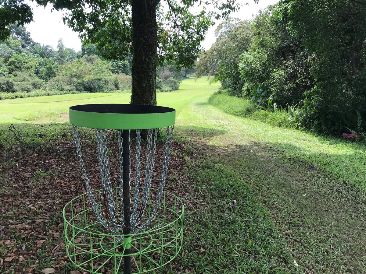 Hole 2 basket looking back down the fairway