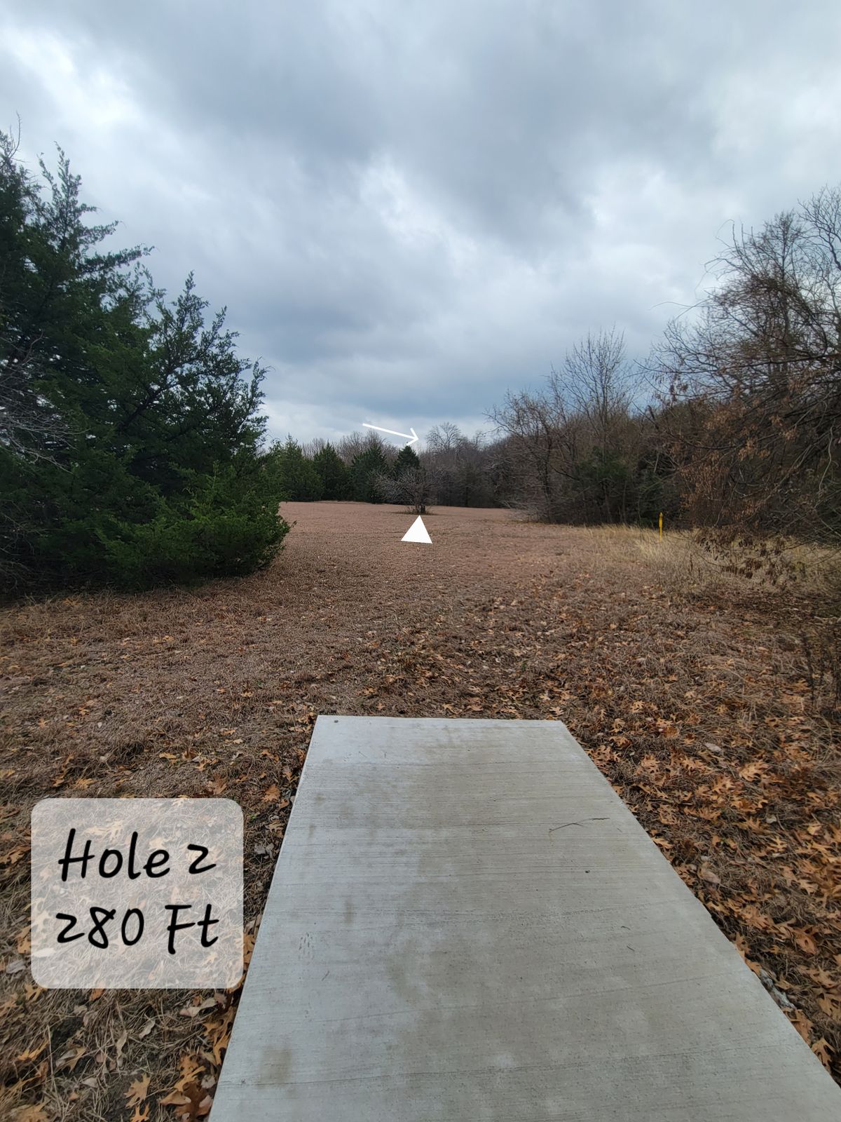 Hole 2- Anhy shot with a nice skinny tree in your way.