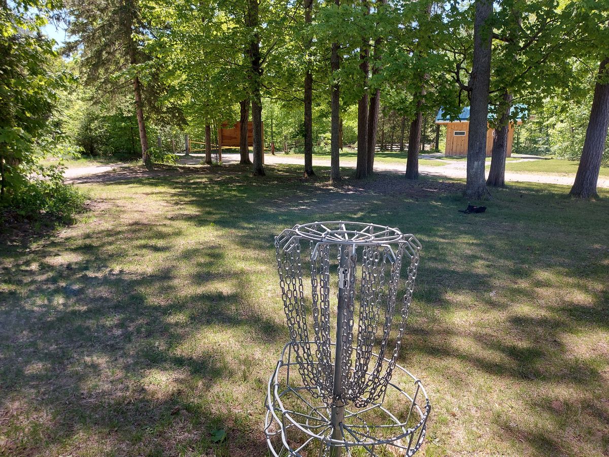 Reverse back up the fairway on hole 1 🍁🍂🍁🍂🍁