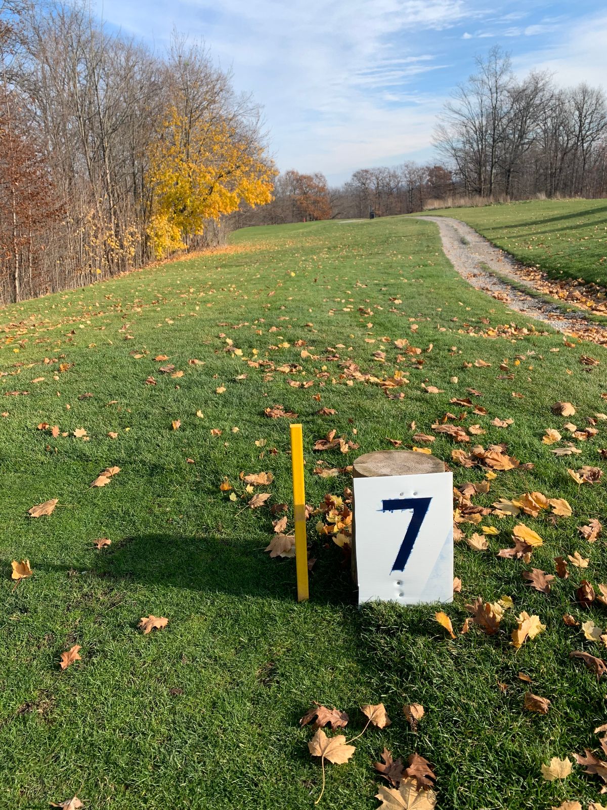 Hole 7 long tee