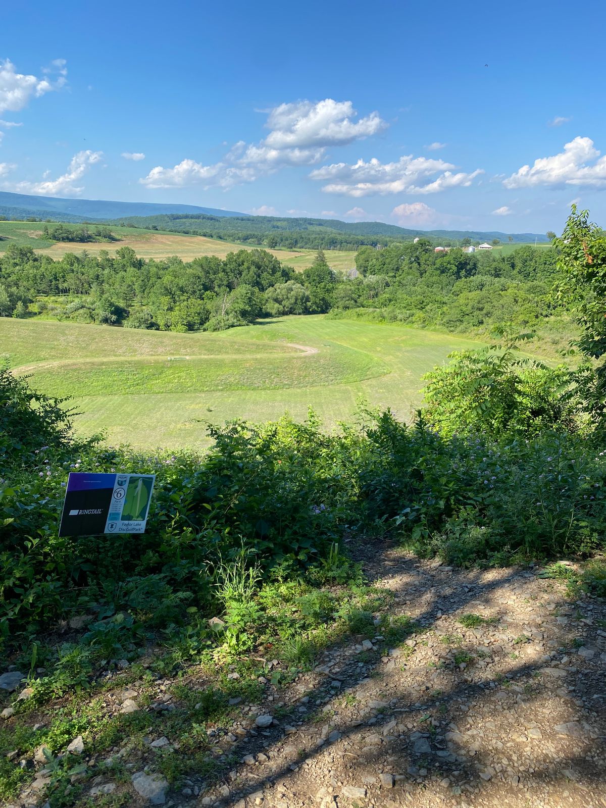 Hole 6 gold tee