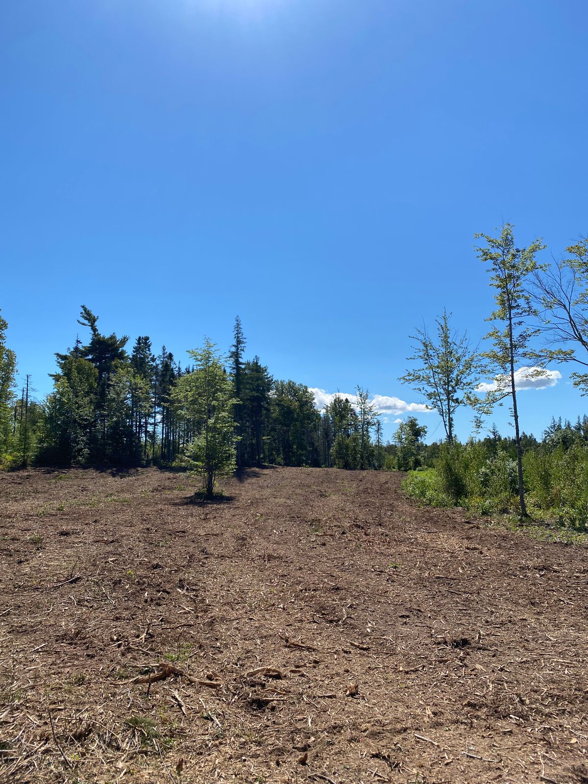 Hole 4 - fairway.