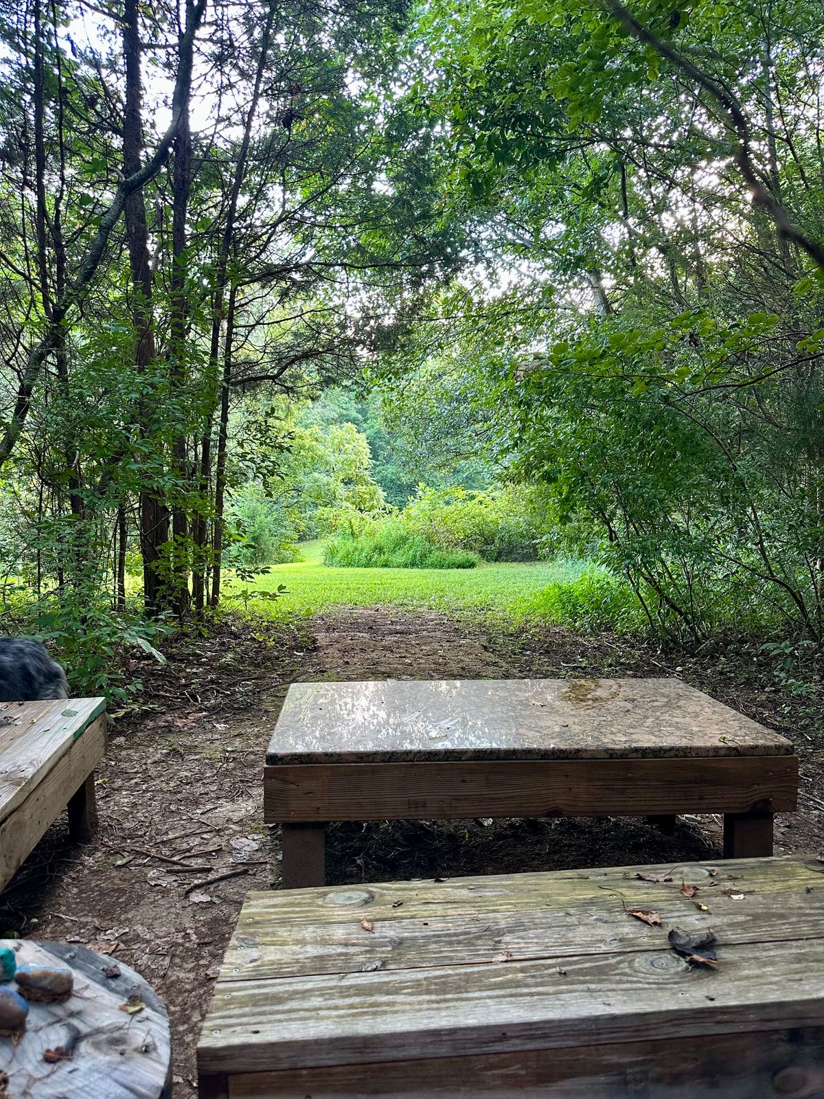 Hole 11