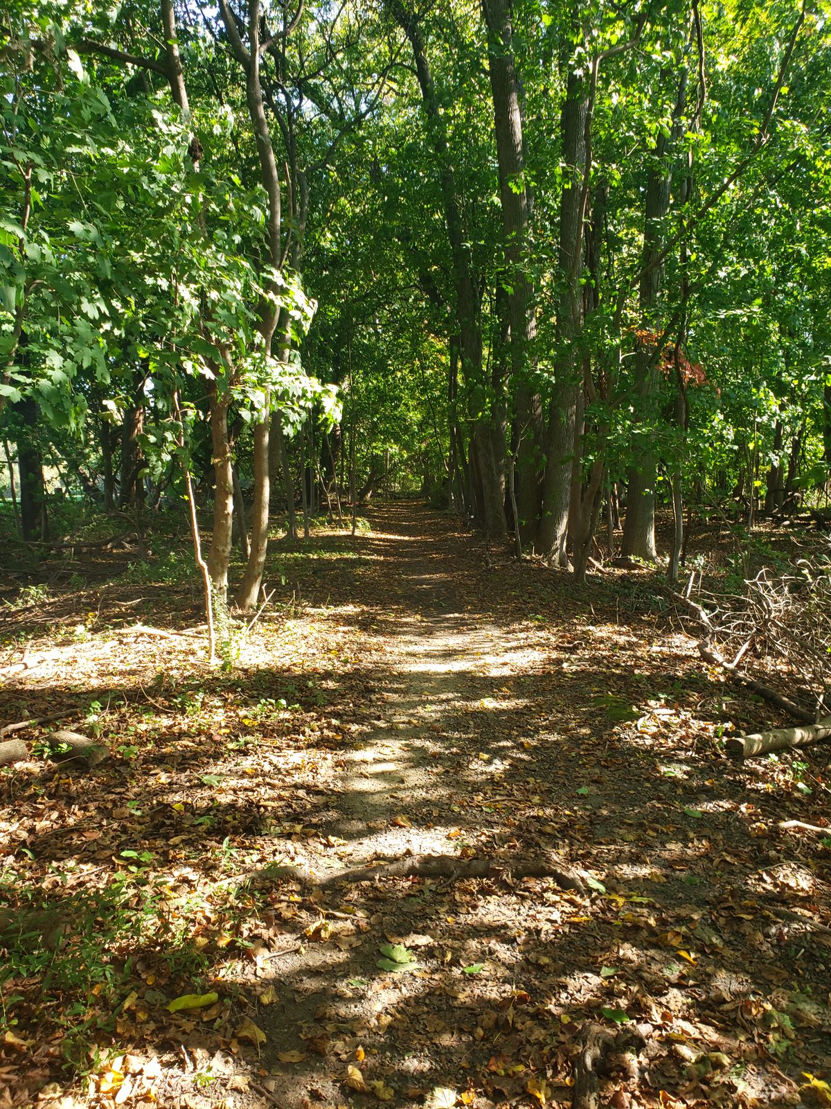 Hole 1 fairway