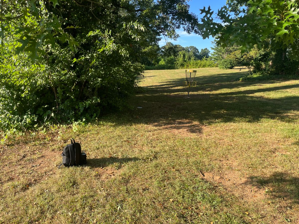 Basket 2. There is poison ivy in the treeline