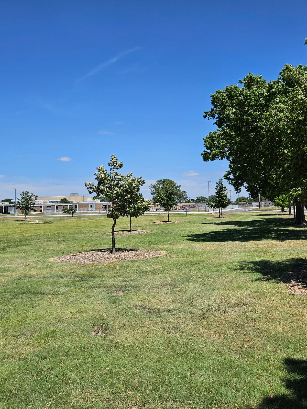 Hole 3 - Tee