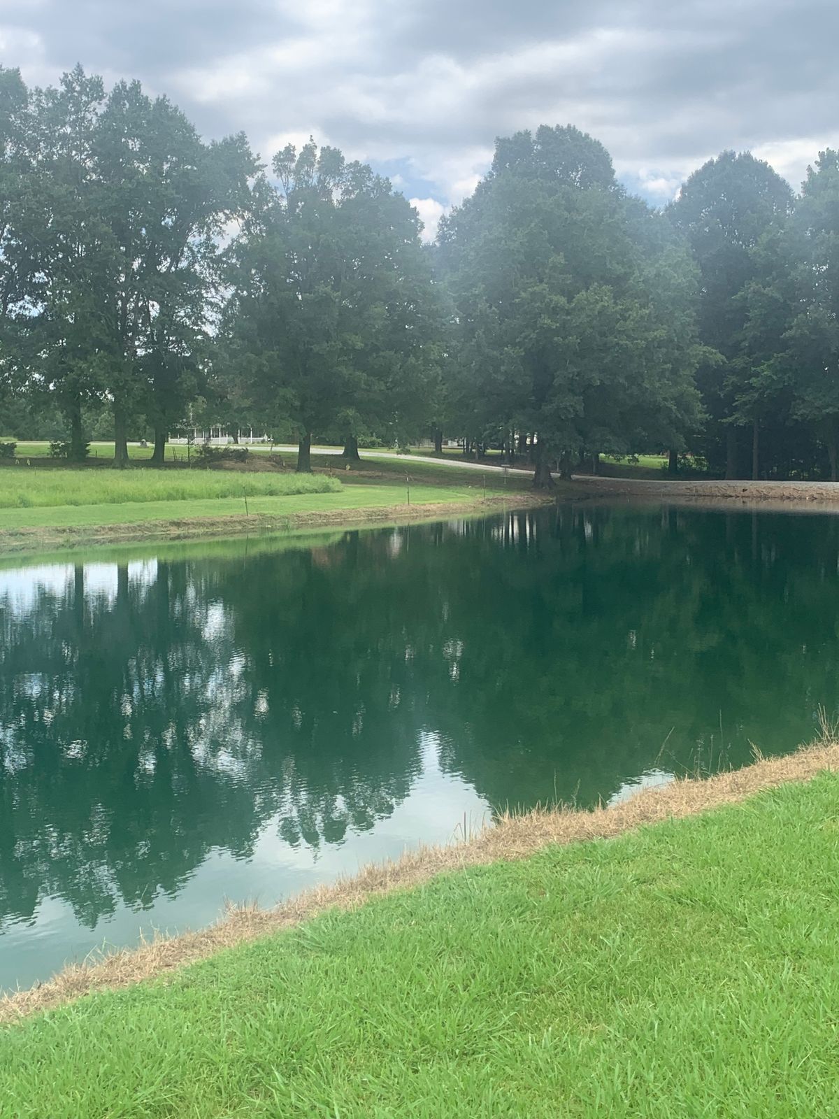 Hole 10 Blue Tee. 