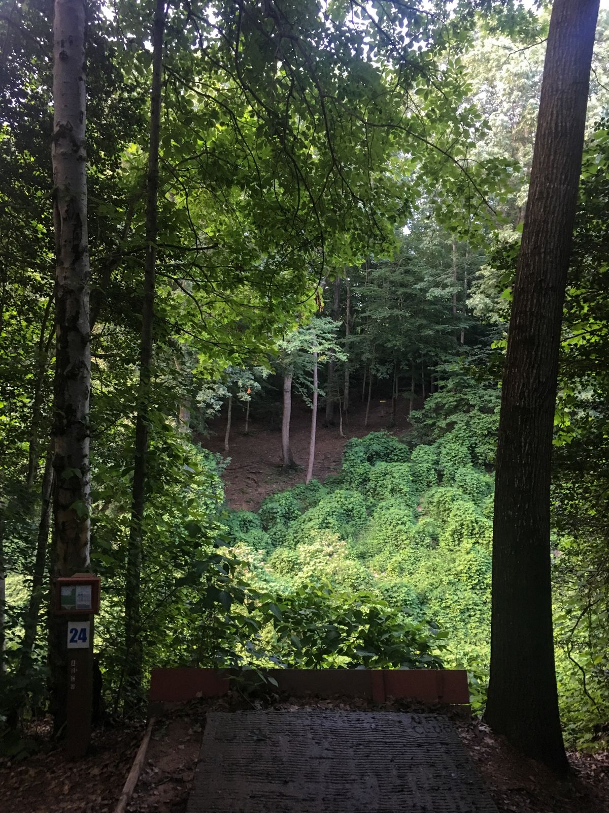 Hole 24