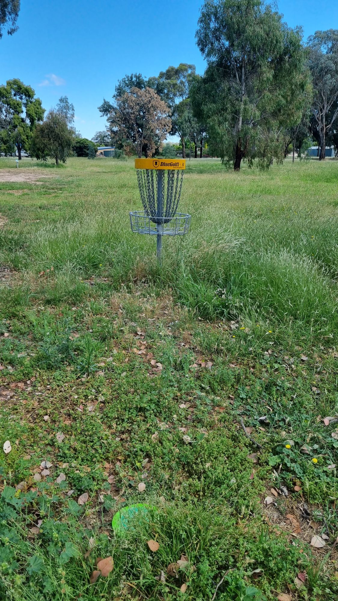 Hole 7, park job.  Note the grass, too crazy and wild.
