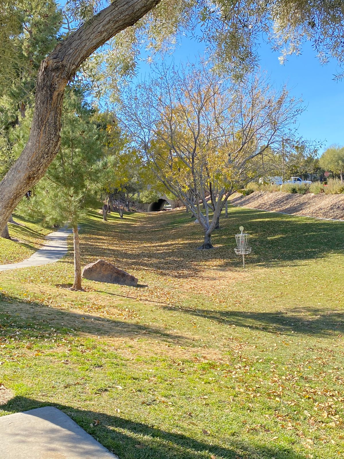 Falling leaves on Hole 13