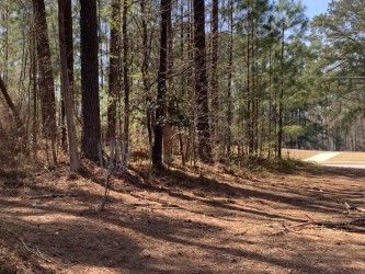 Hole 16 green and temp basket.  Temp basket was ruined by people but I tried to get it back to functional