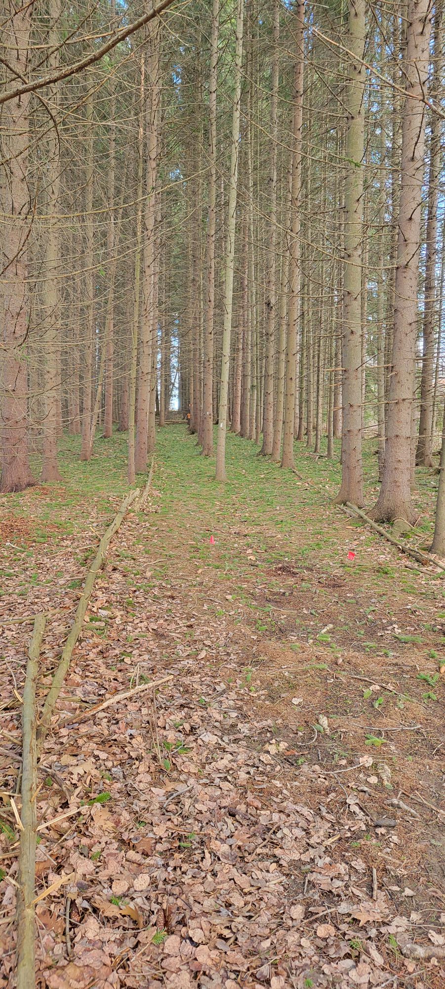 Hole 4a