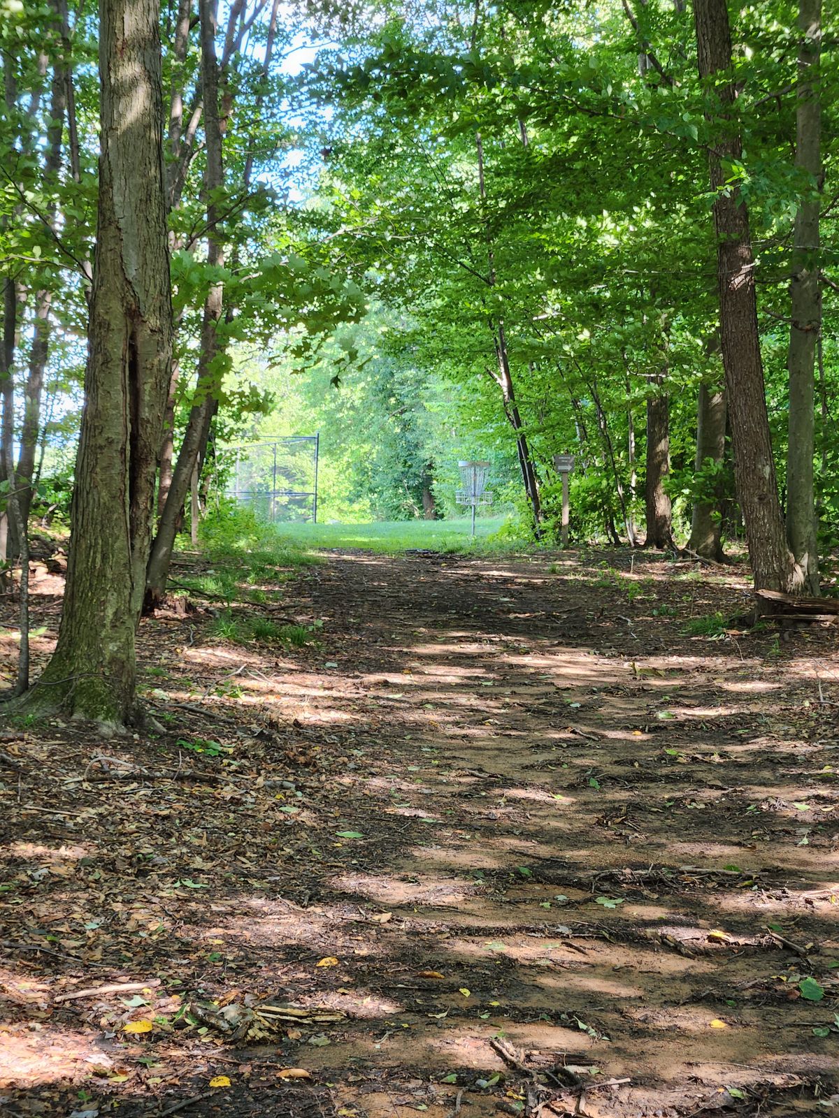 Hole 3 basket from fairway