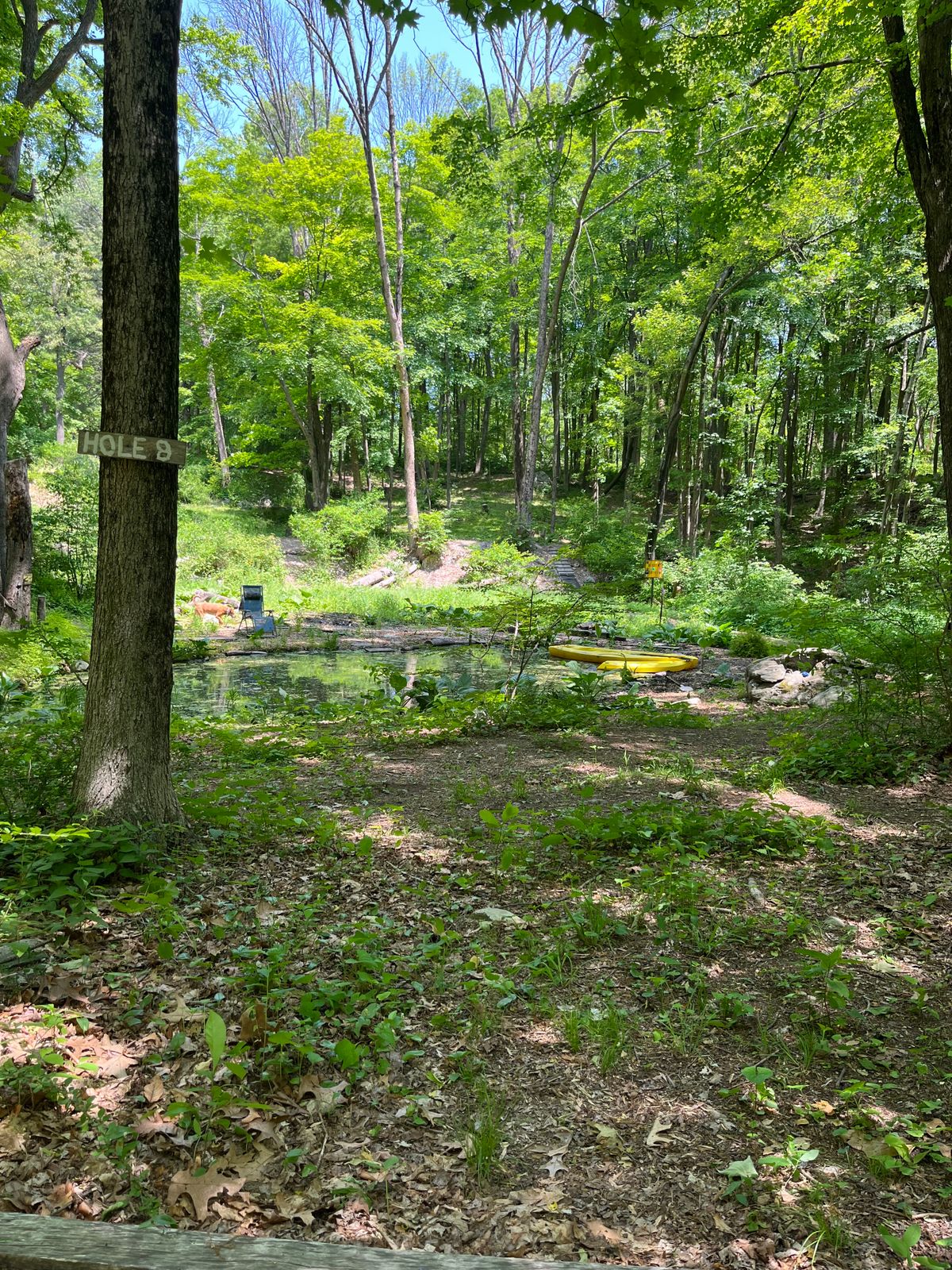 Hole 8, par 4 , dogleg left