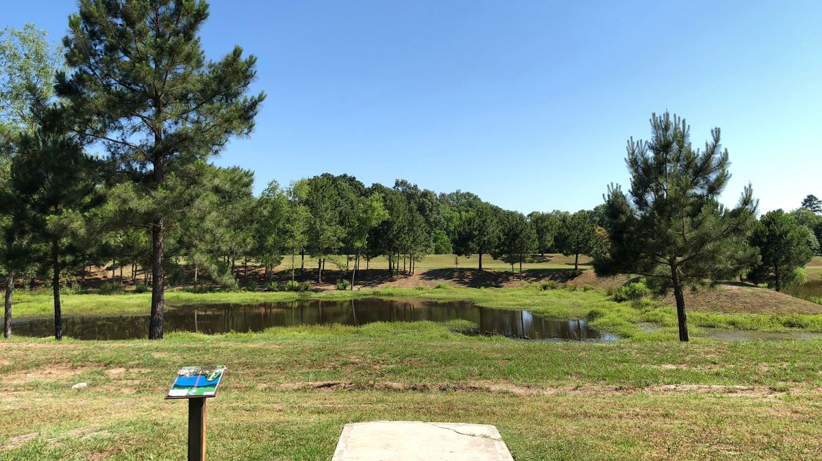 Hole 9
