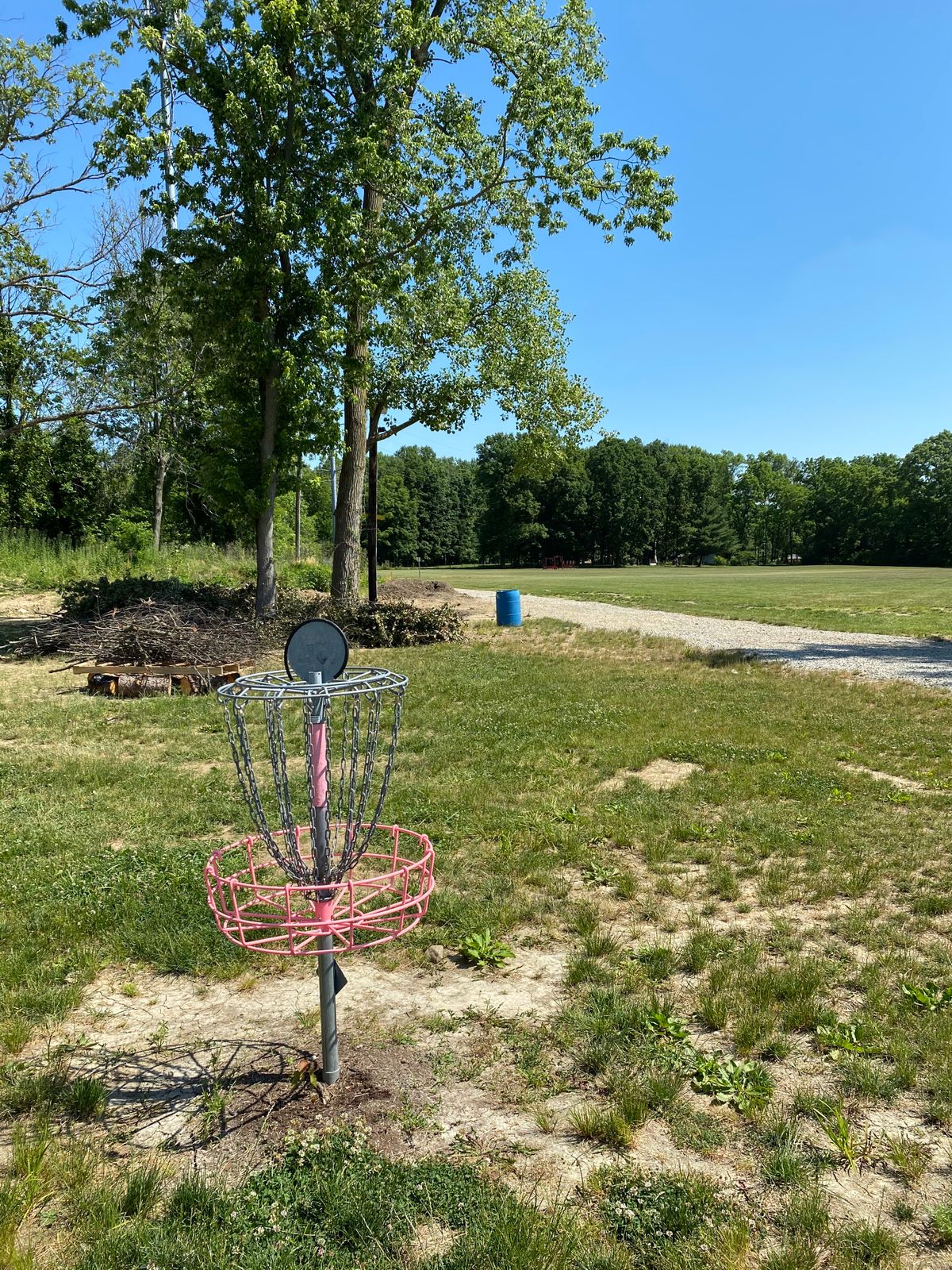 Hole 7 (Reverse)