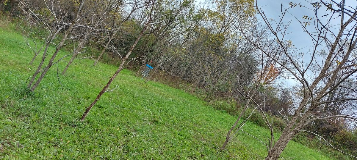 Short upshot to basket 8.🪵👍🌳🍂