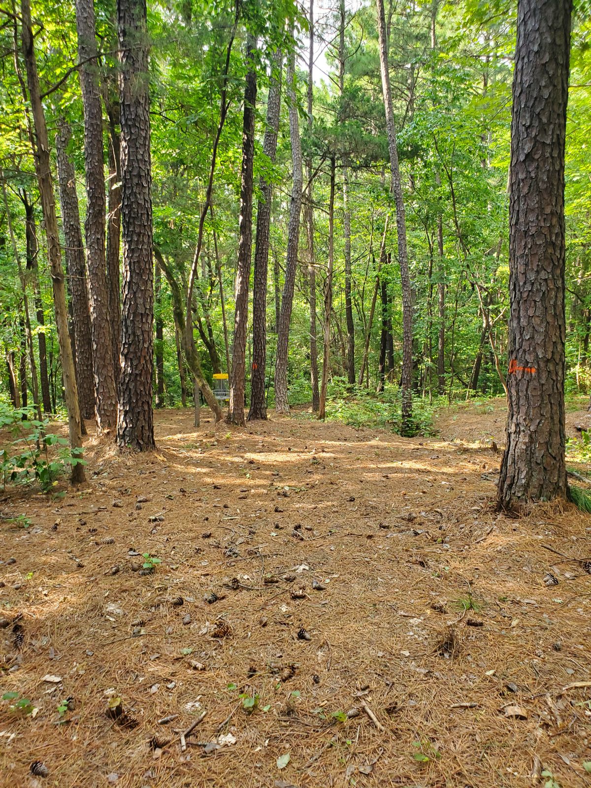 Hole 3 approach