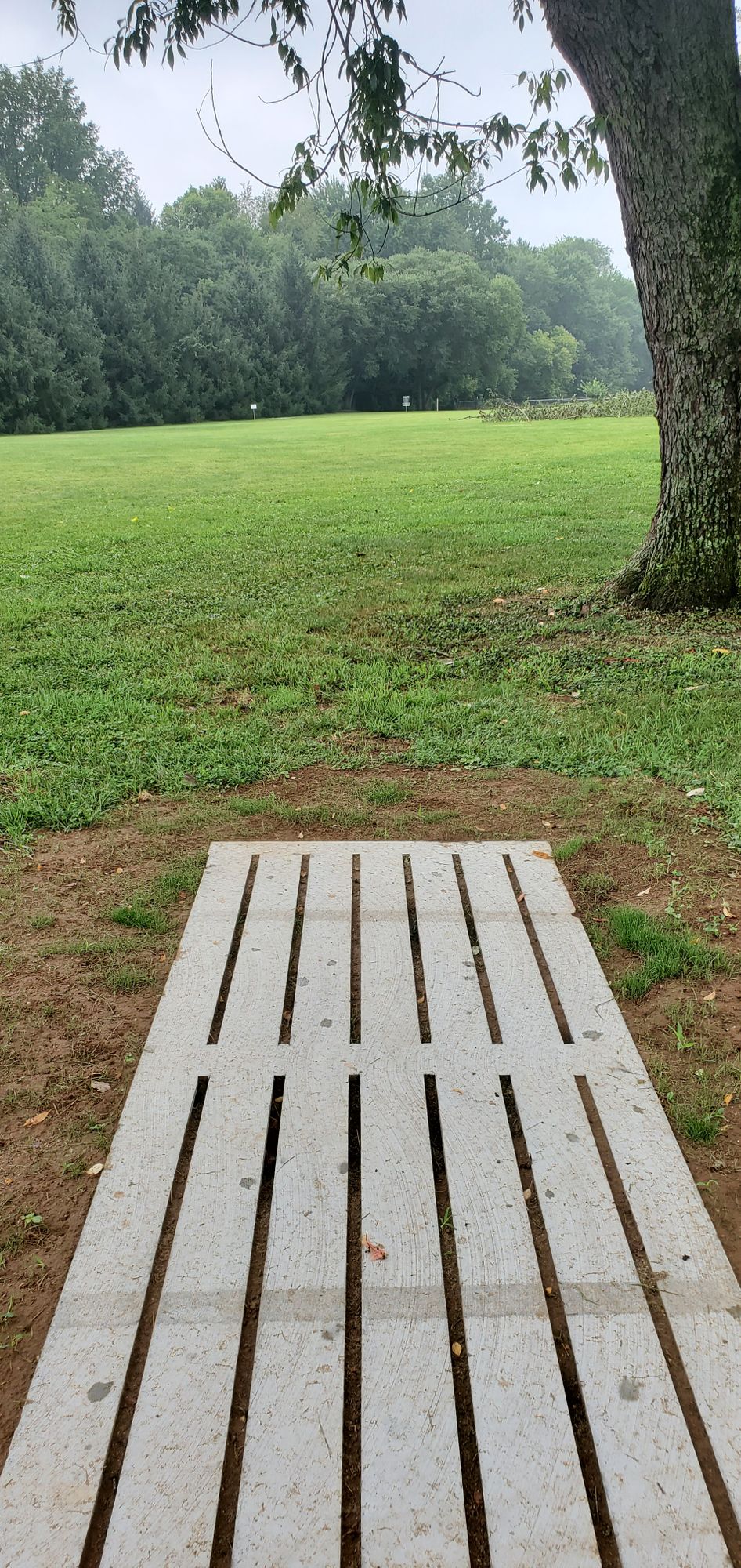 Hole 3 tee pad