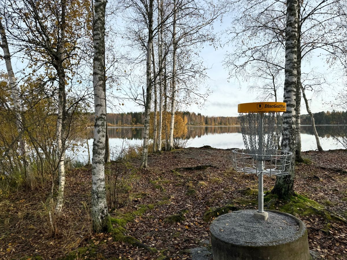 Näkymä väylän 7 (2024 layout) koirilta järvelle