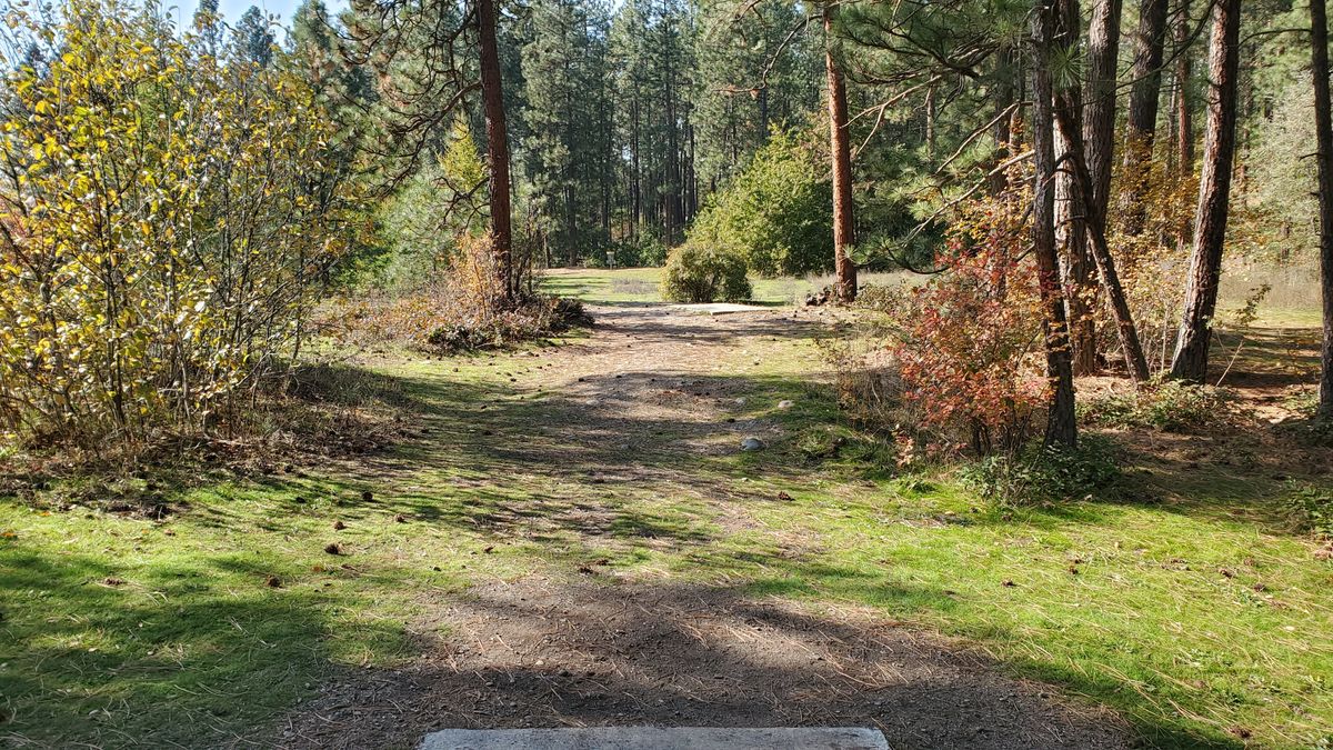 Tee pad hole 7