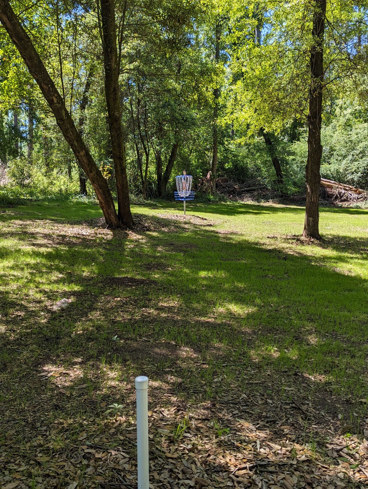 Hole 11 A and B Pin Locations