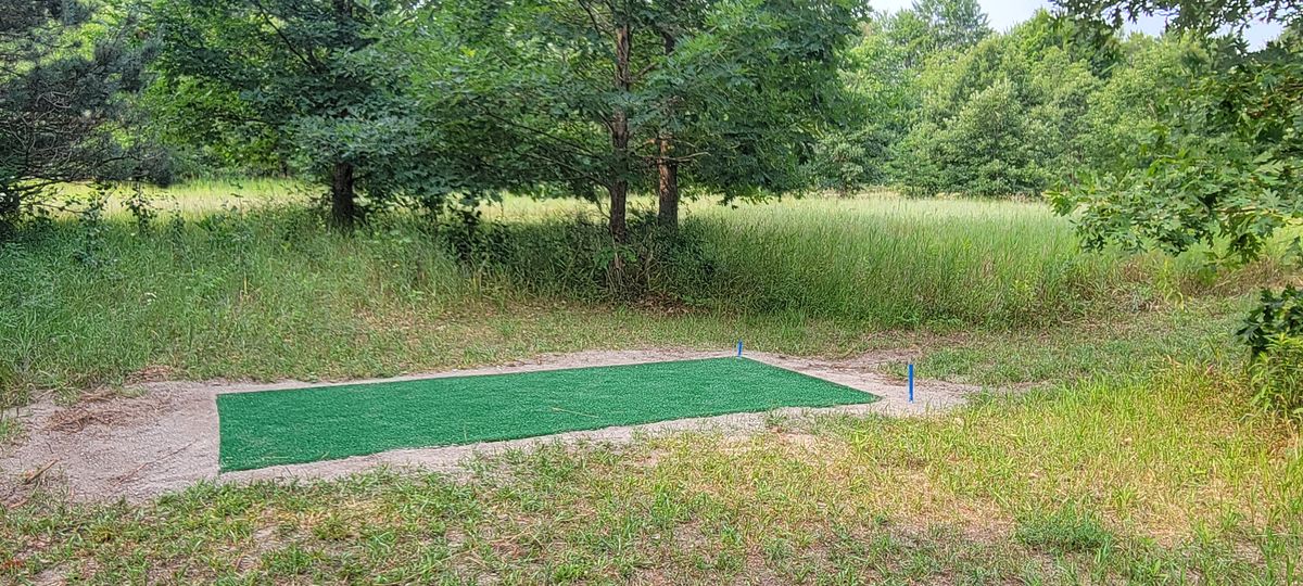 Blue (medium) & Red (short) tee pads installed