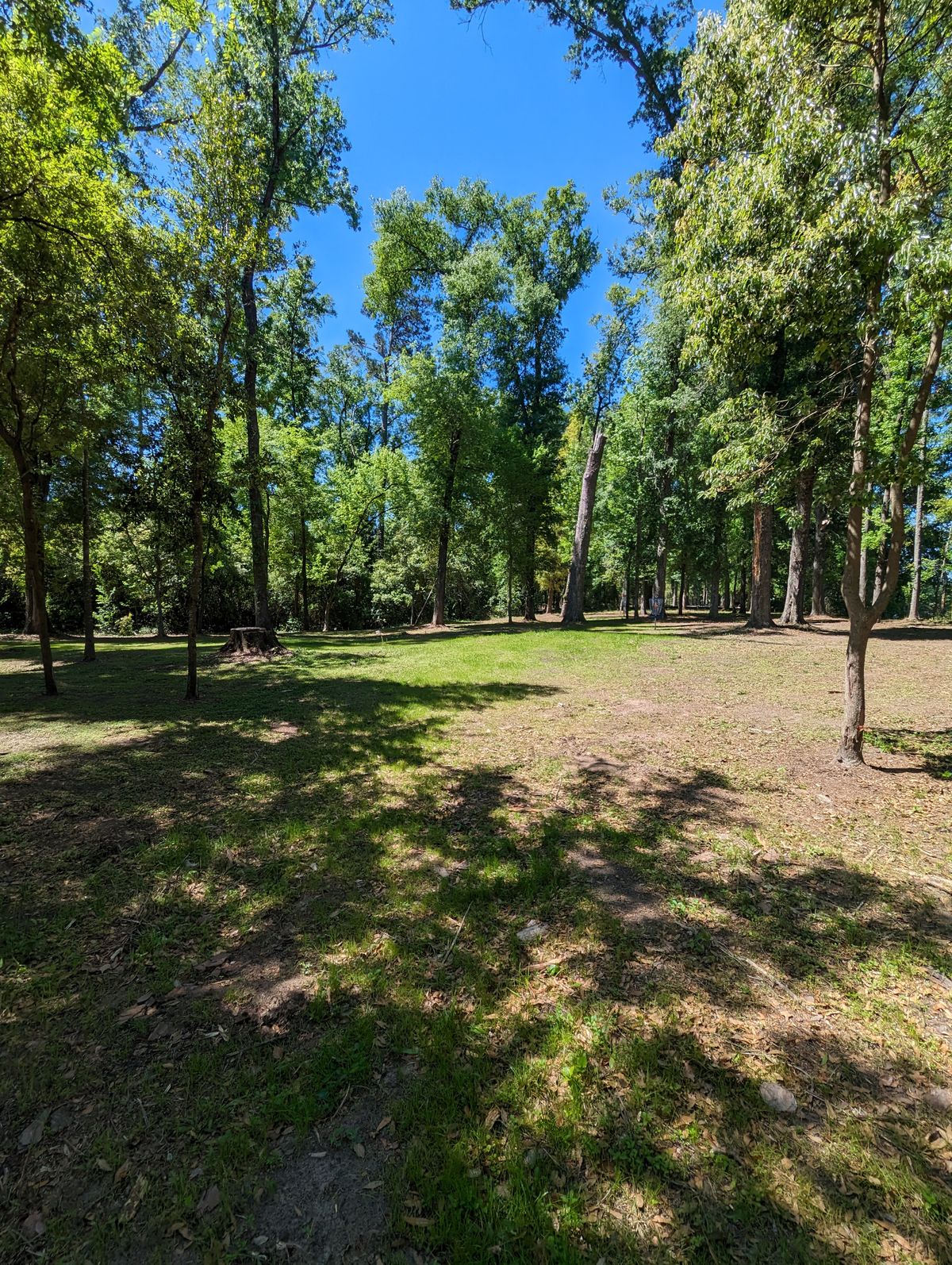 Hole 6 Greens