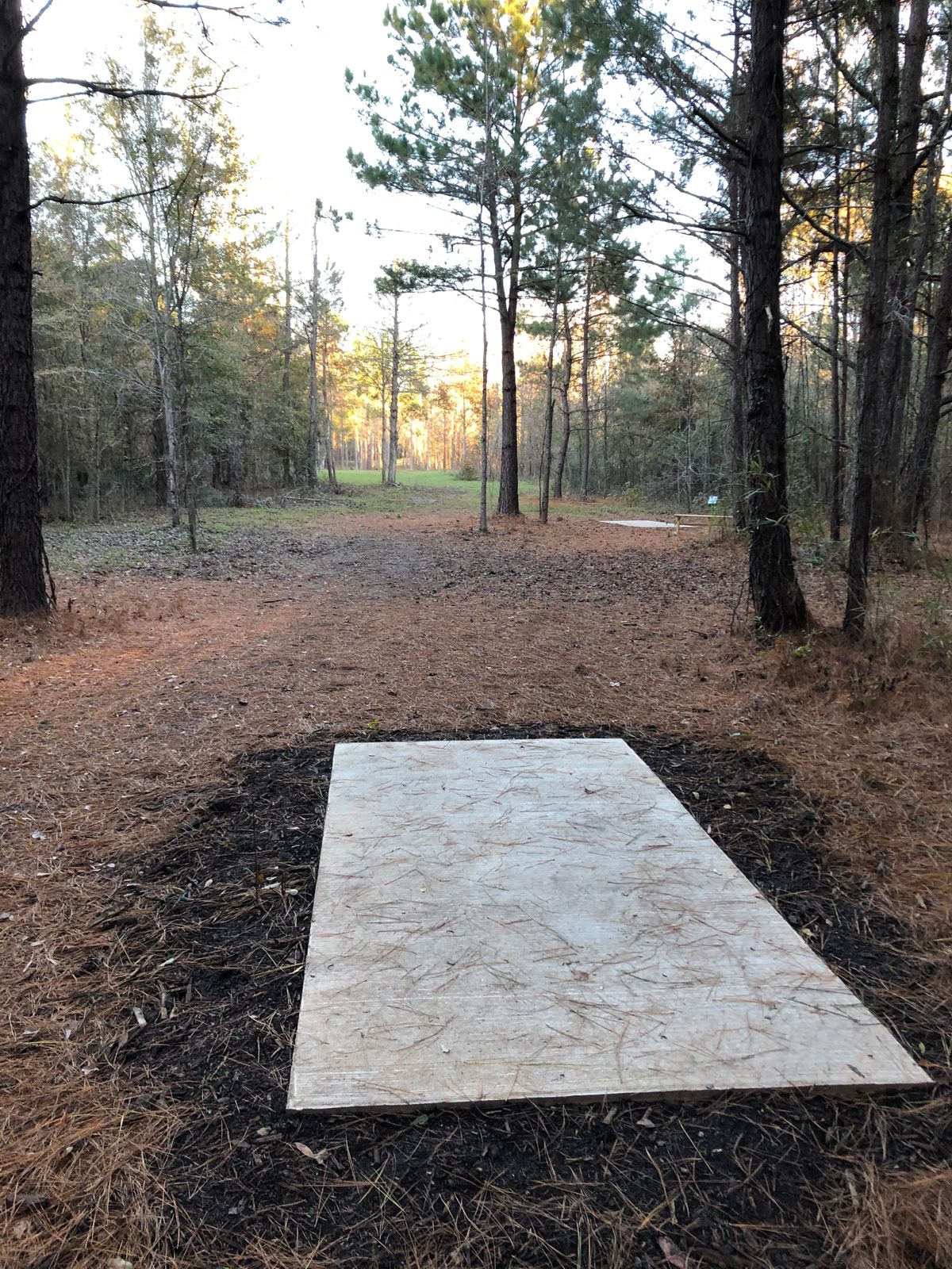 16 tee pad long