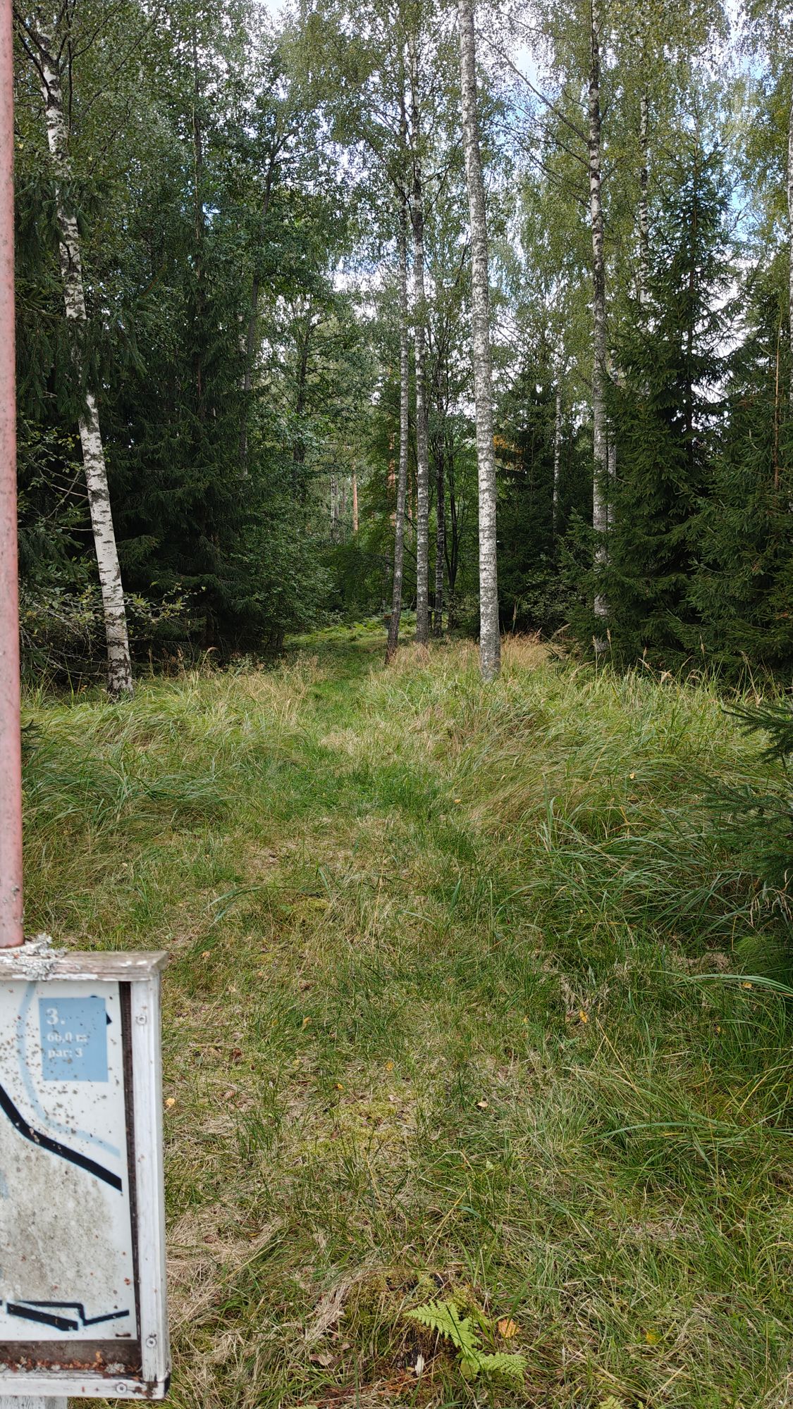 Hole 3