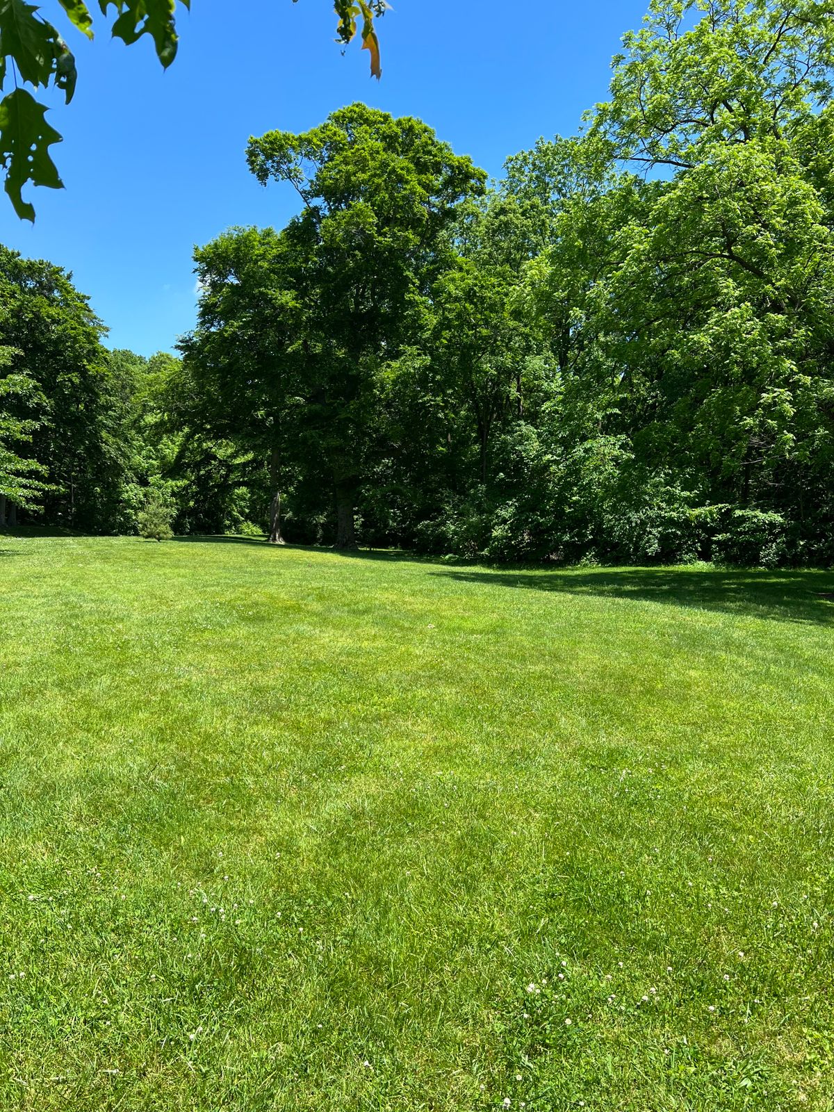 Hole 7 Blue Tee