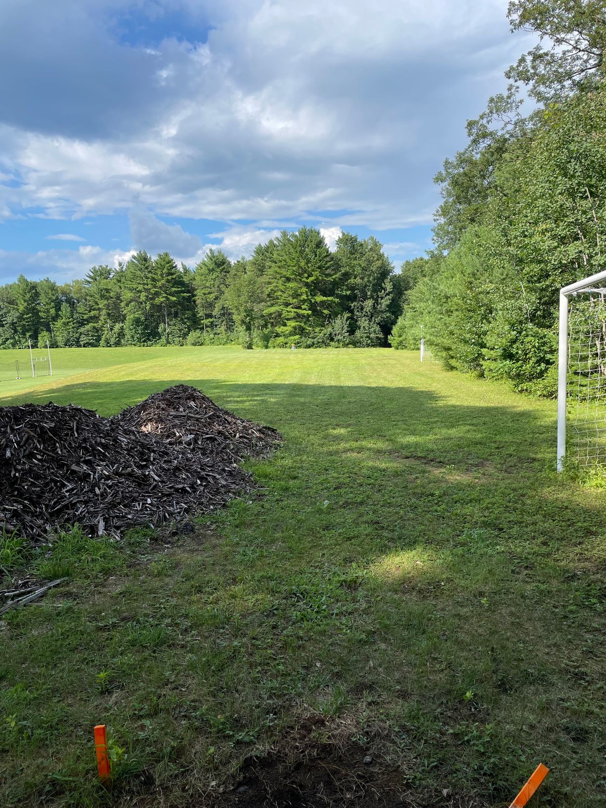 Hole 6 tee