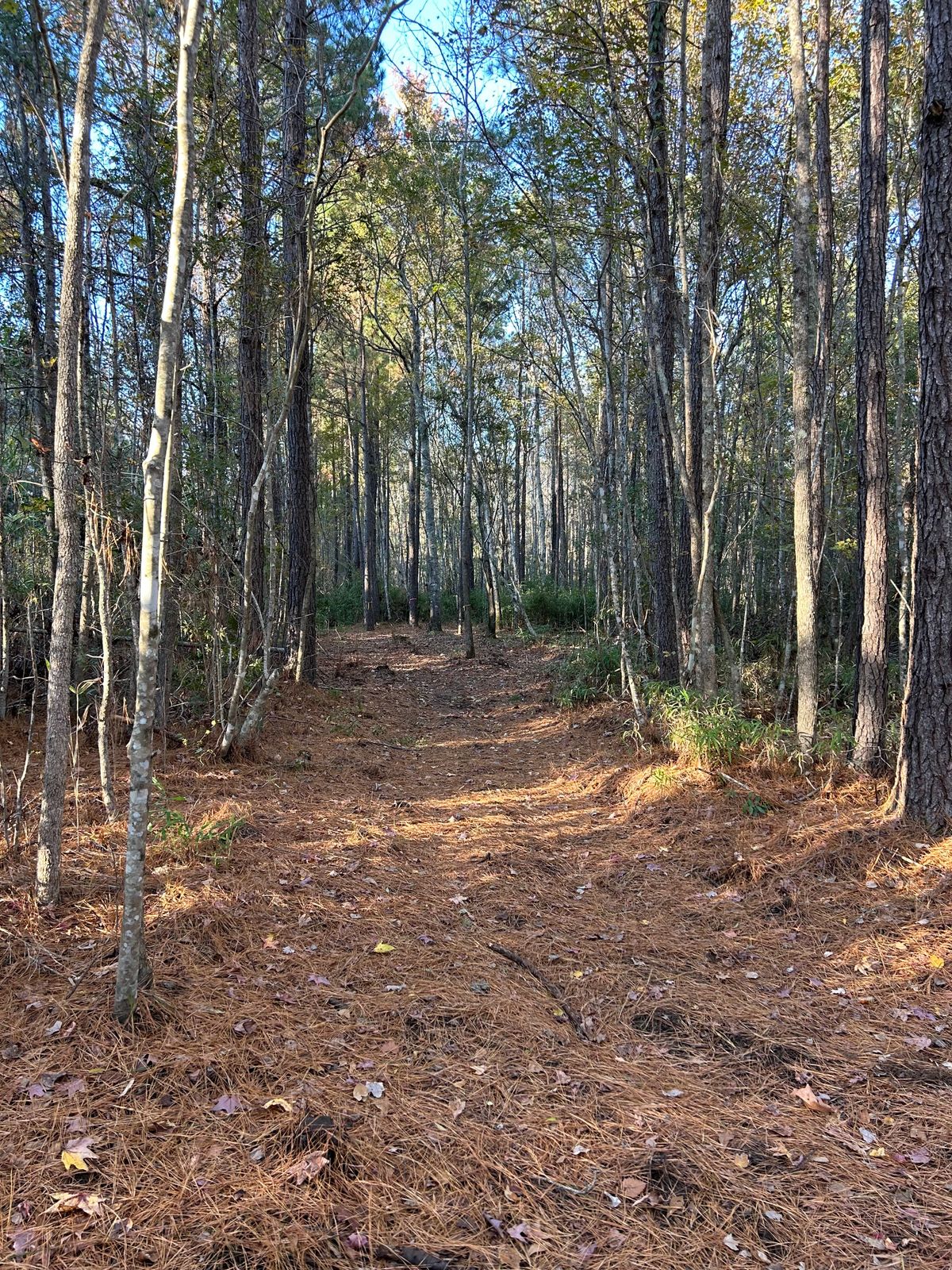 Hole 17