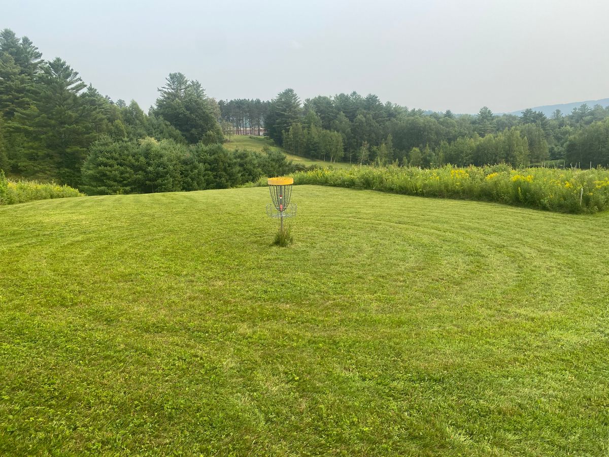 Hole 12 green