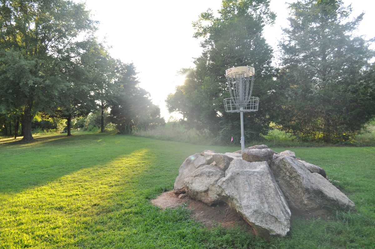Hole 7, par3. Looking back from basket to tee.