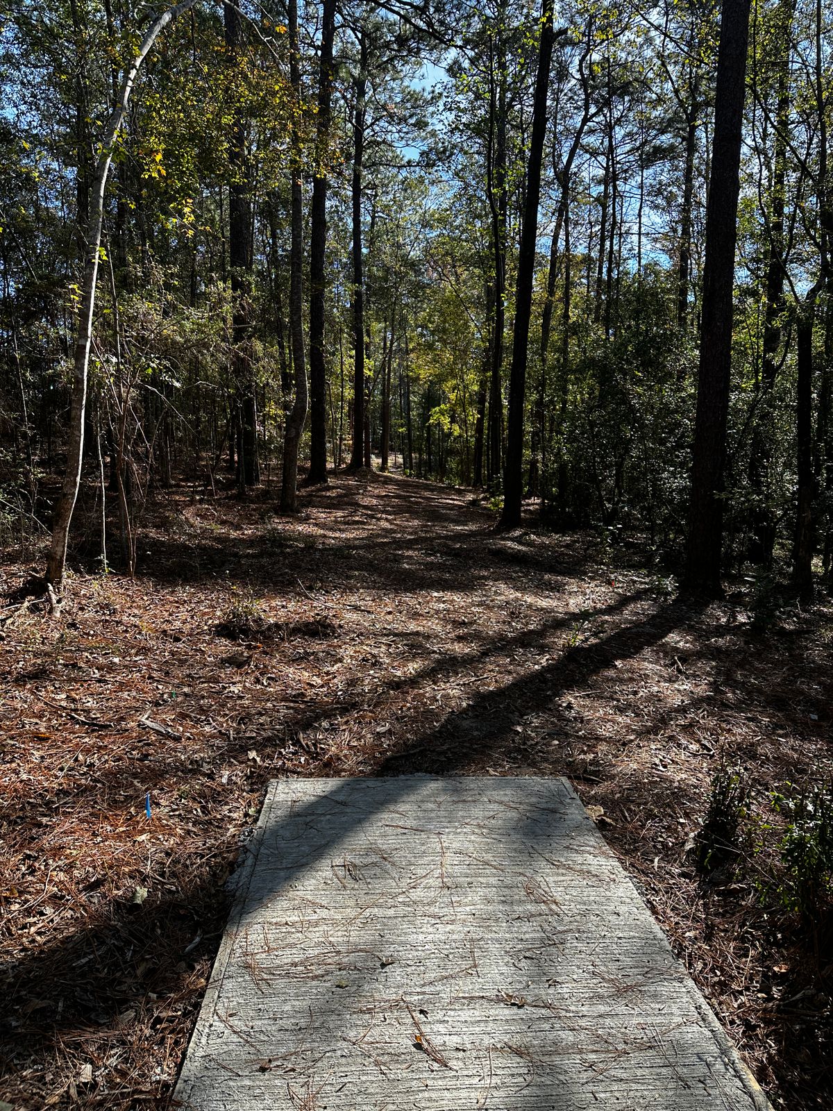 Hole 7 Blue