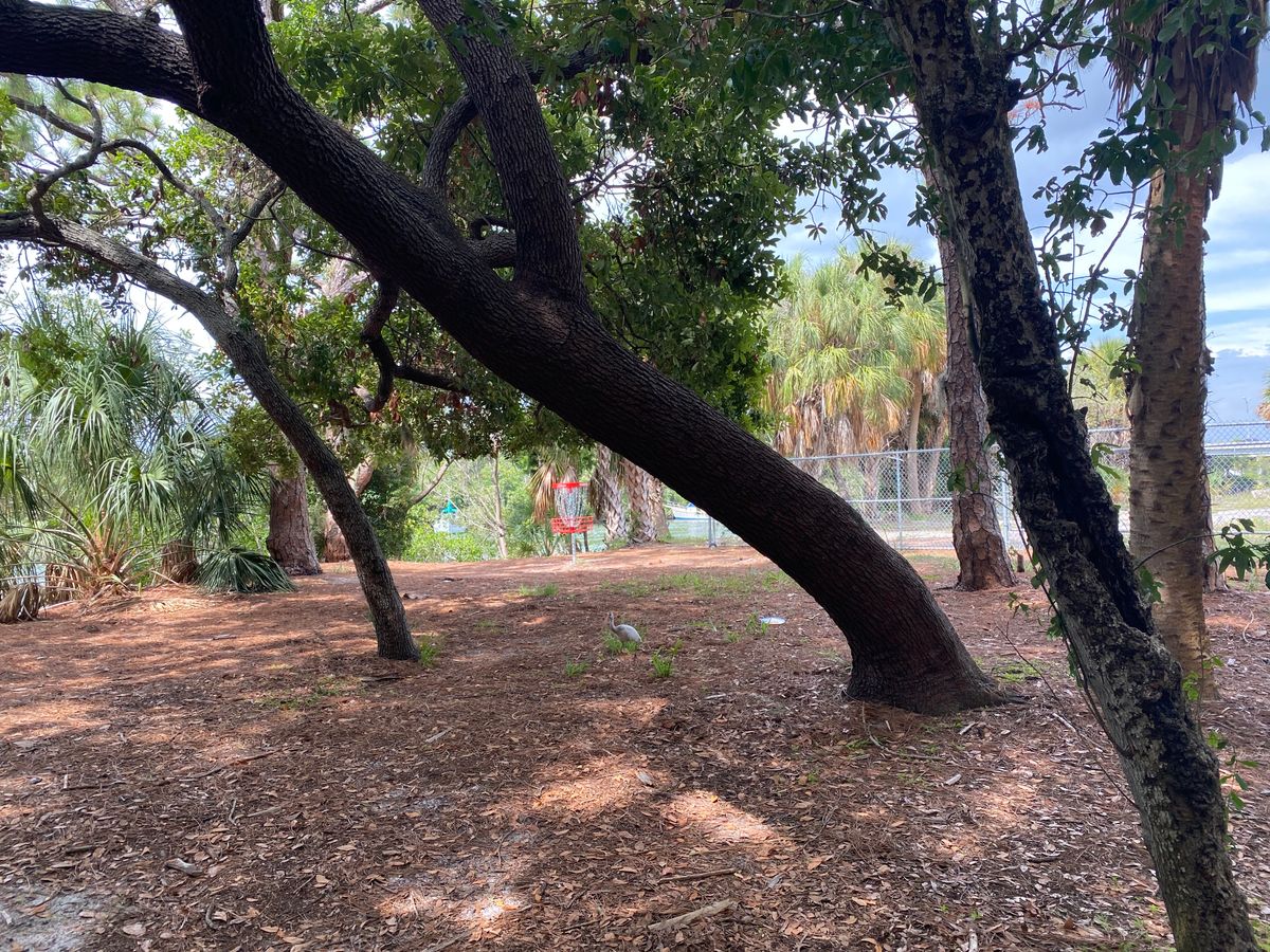 Hole 12