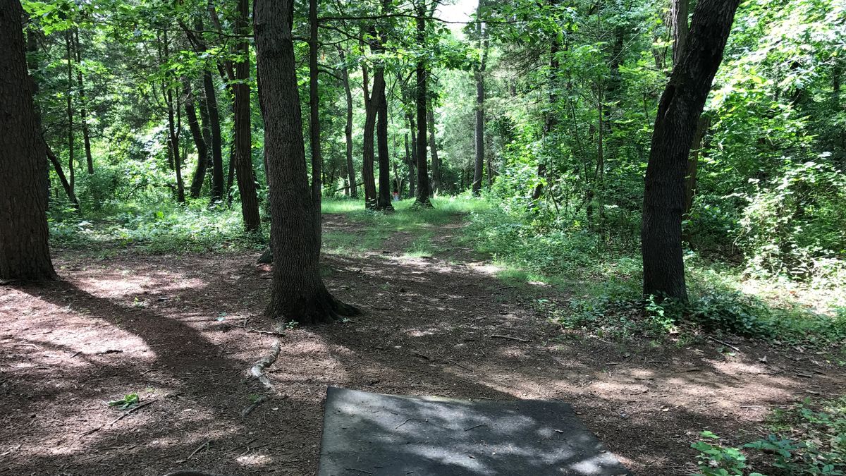 Hole 15