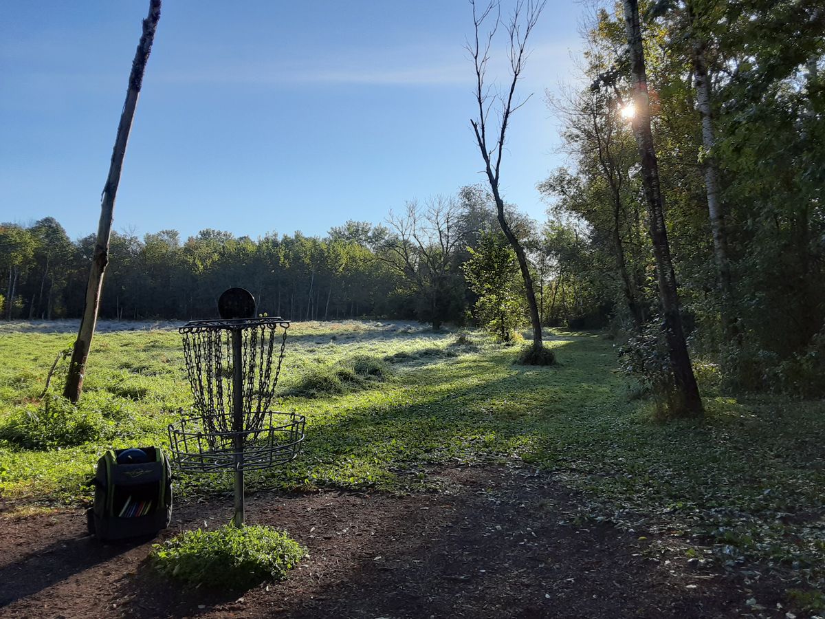 Looking back to tee pad from basket 9.